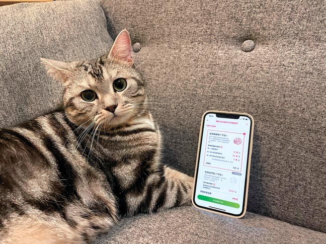 国泰世华KOKO与国泰产险合作推出KOPet宠物险。图／业者提供