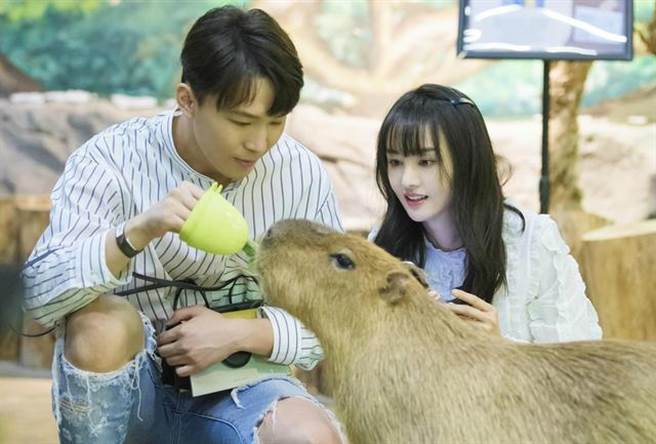 郑爽和张恒彻底撕破脸。(图/翻摄自微博)