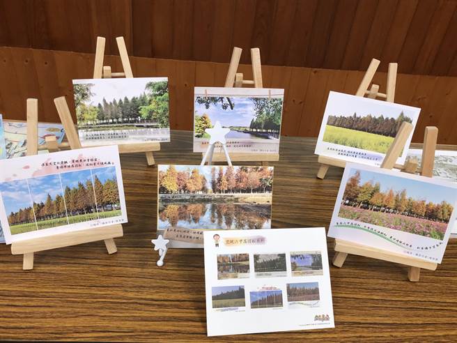 行销六甲之美，公所发行落羽松明信片。（台南市六甲区公所提供／刘秀芬台南传真）