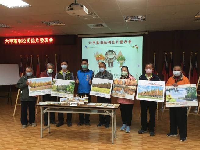 行销六甲之美，公所发行落羽松明信片。（台南市六甲区公所提供／刘秀芬台南传真）