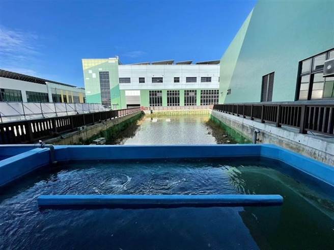 新北捷运公司运用景观滞洪池引进渔菜共生产业。〈图：新北捷运公司提供〉