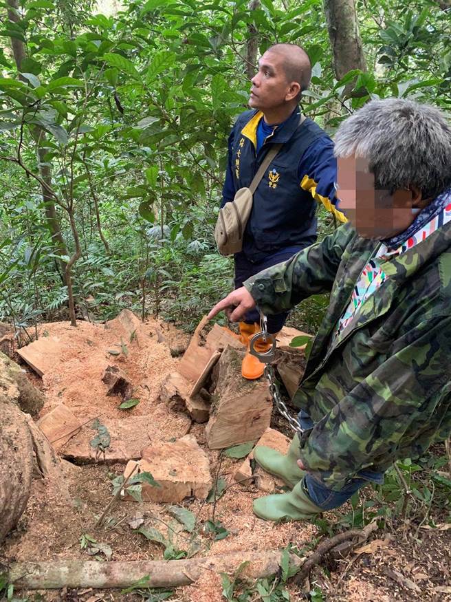 台东林区管理处19日执行巡护工作时，在初鹿山区一发现可疑机车藏匿，察觉有异便通报警方，双方彻夜埋伏，终于在20日清晨缉获3名窃取牛樟木的犯嫌，全案移送台东地检署侦办中。图为警方与嫌犯至窃取牛樟木的地点定位。（台东林管处提供／蔡旻妤台东传真）