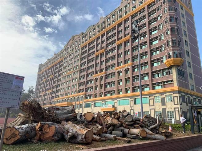 南臺科大校園樹木遭砍除。（讀者提供／曹婷婷台南傳真）