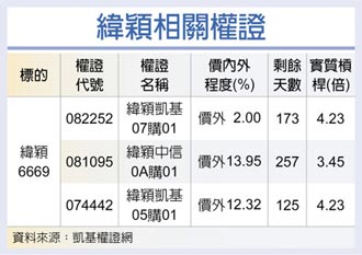 權證星光大道－緯穎 內外資齊步喊多