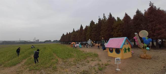 六甲区公所陆续在落羽松林周遭设置可爱装置，吸引游客拍照。（六甲区公所提供／刘秀芬台南传真）