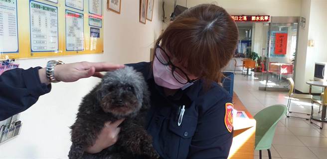 桃园市叶姓民眾21日中午抱着1只母黑贵宾向桃园警分局埔子派出所求助，热心员警顺利为其找到黑贵宾失主。（警方提供／赖佑维桃园传真）