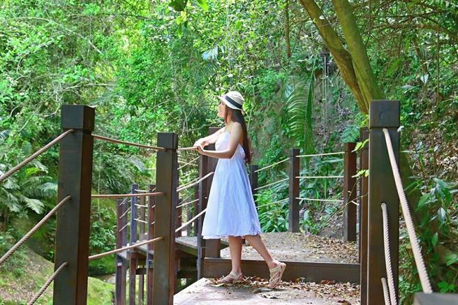 台中市政府观旅局斥资延伸蝙蝠洞步道建设全长达880公尺的环状生态路线，沿途新建的两座麻绳编织而成的「仙气绳桥」更是热门拍照景点。（冯惠宜摄）