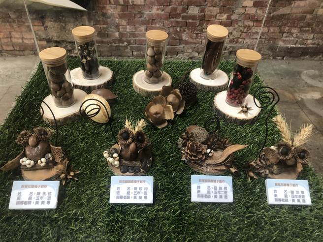 永靖国小33位学童利用种子、特色花卉，活化老屋空间(顶新和德文教基金会照片提供)