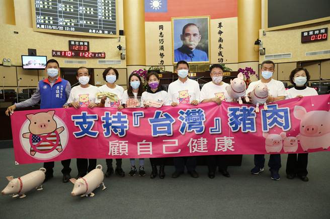 国民党台南市一回党团持续主打反莱猪进口议题。（国民党台南市议会党团提供／程炳璋台南传真）