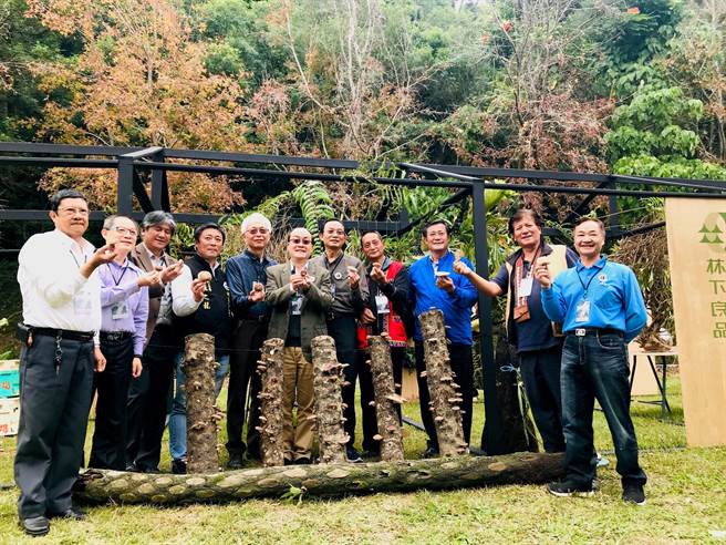 记者会现场与会贵宾一同摘取段木香菇象徵林下经济的丰收。（嘉义林管处提供／张亦惠嘉县传真）