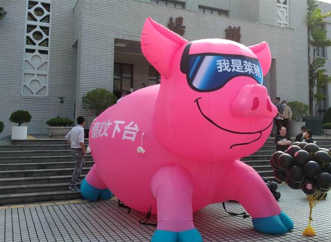 国民党团日前在反莱猪游行中使用过的充气猪(记者季节摄)