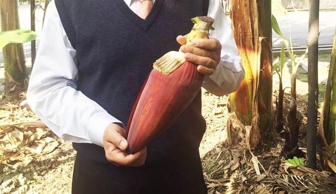 香蕉花能防中风及高血压？ 营养师点破关键。(图/本报系资料照片)