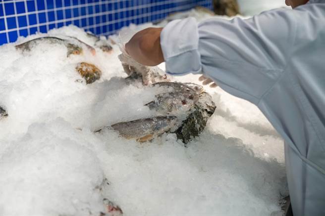 冷凍魚比較不新鮮？ 專家解惑！「NG解凍」小心營養流失。(圖/常春月刊提供)