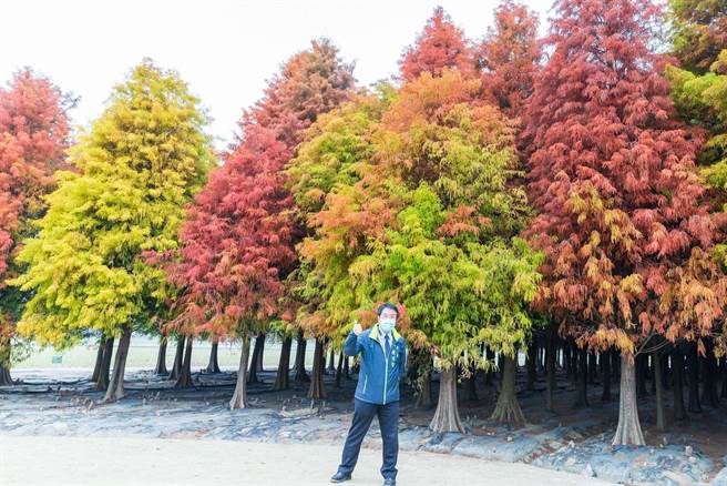 黄伟哲特地到六甲宣传落羽松美景。（摘自黄伟哲脸书）