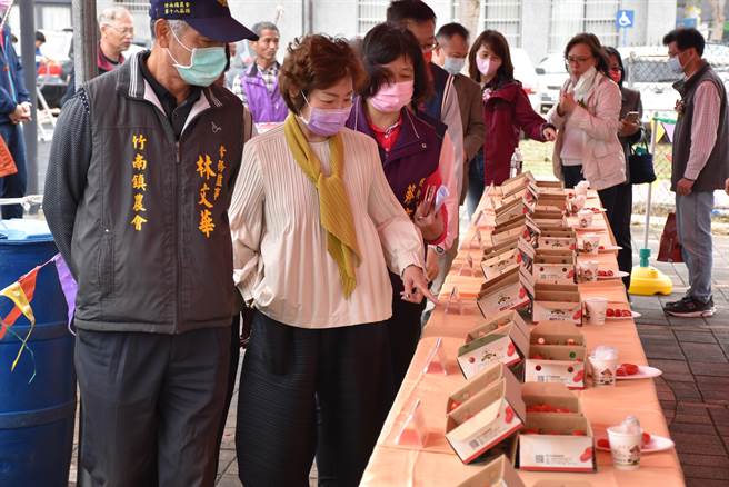 苗栗縣長夫人蔡麗卿試吃竹南小蕃茄，大為驚豔。（謝明俊攝）