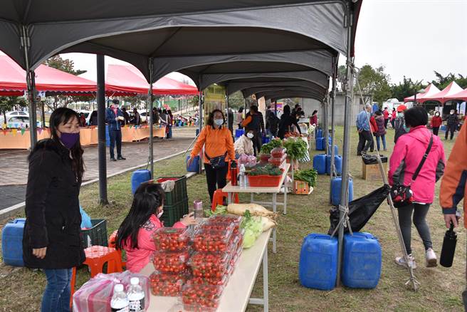 竹南鎮農會推廣溫室栽植，除了小蕃茄外，還有各種冬季蔬菜。（謝明俊攝）