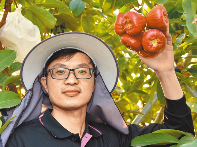 屏东东港农友黄国霖夺得莲雾冠军。（高雄农改场提供／潘建志屏东传真）