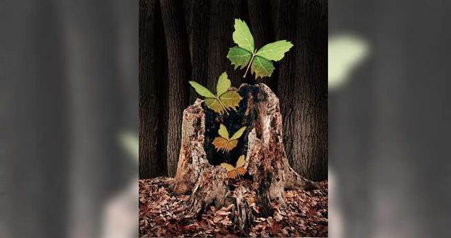 舒心BAR／吴若权：深入痛苦　找回快乐（图／123RF）