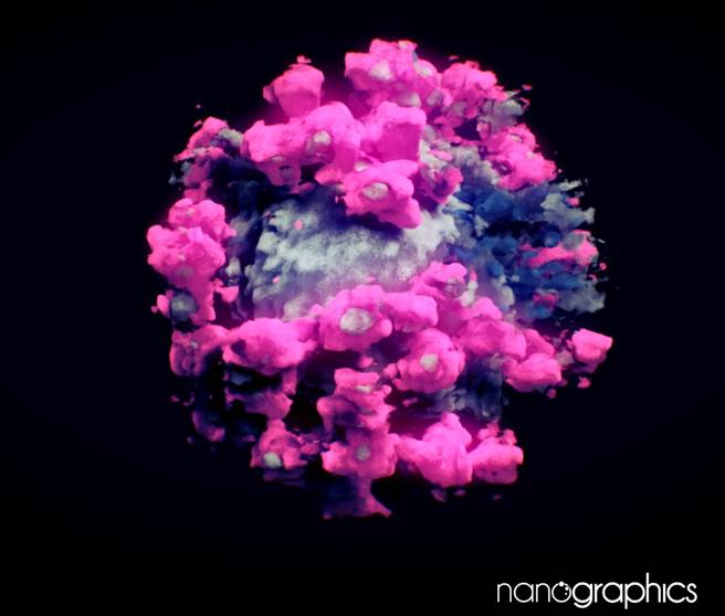奥地利影像合成公司「Nanographics」19日公开全球首支新冠肺炎病毒3D影像，这个致命病毒真面目相当美丽，经过粉色点缀后，就像一朵盛开的小花。（图／路透社、Nanographics以CC License授权提供）