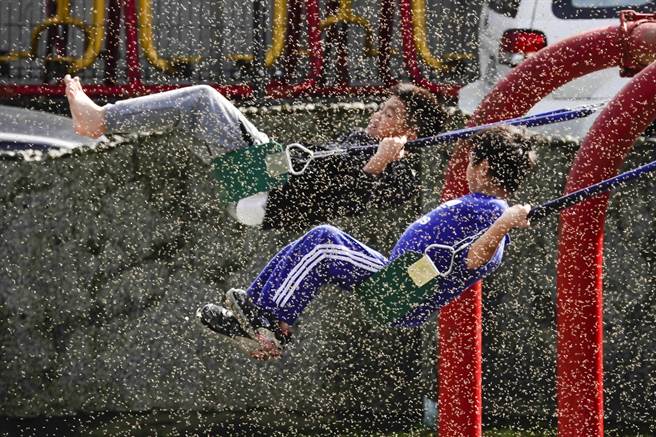 南澳金洋村出现摇蚊婚飞现象，金洋国小操场近乎一半笼罩在摇蚊群中。