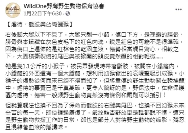 幼猴遭恶徒砍断右脚，尾巴大面积撕裂伤、头皮被掀开，被发现时关在小笼子内惨叫，外面因为还有大笼子，疑似是嫌犯以叫声诱捕成猴。（图／翻摄自脸书粉丝专页「WildOne野湾野生动物保育协会」）
