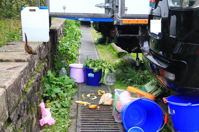 玉山塔加地區有民眾在停車場亂丟果皮及垃圾，引來台灣噪眉，此舉已影響動物生態。（玉管處提供／黃立杰南投傳真）