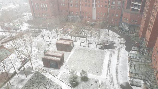 北京今天飘下2021年第二场降雪。（蓝孝威摄）