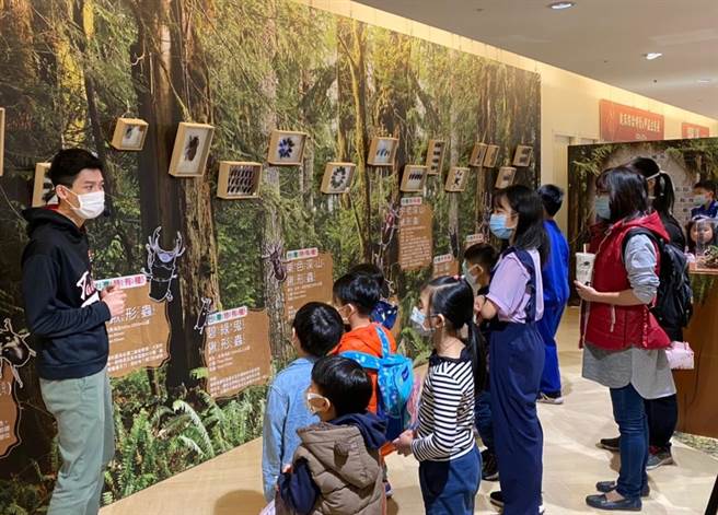 為喜迎金牛年，新竹SOGO首次舉辦甲蟲生態展。（SOGO提供／陳育賢新竹傳真）