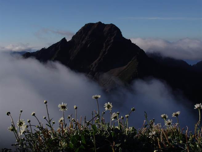來去玉山瀟灑走一回，不留垃圾也不帶走任何東西。（廖志晃攝）
