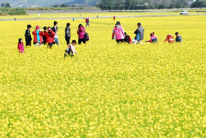 因應春節旅遊人潮，台東縣政府呼籲遊客「東漂」之際，也要落實防疫措施。（莊哲權攝）