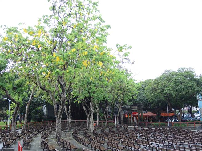 228公園(圖/中時資料照)