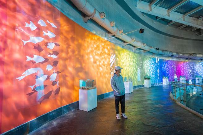 屏东海生馆继「海藻森林」被选为全台十大网美景点后，今年推出全新打卡点「色水廊道」。（谢佳潾摄）