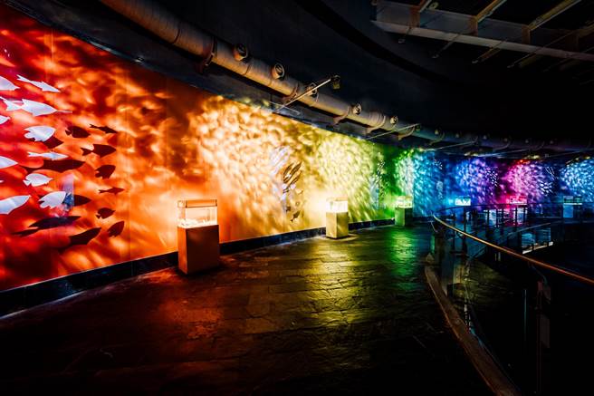 屏东海生馆继「海藻森林」被选为全台十大网美景点后，今年推出全新打卡点「色水廊道」。（谢佳潾摄）