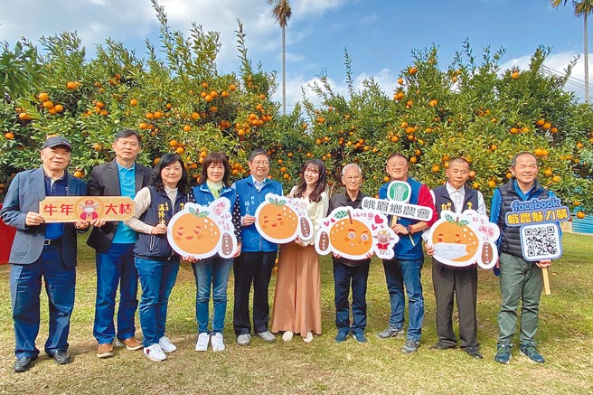 峨眉鄉桶柑果型飽滿、水分及酸甜度皆上上之選，縣府攜手在地農會共同促銷。（邱立雅攝）