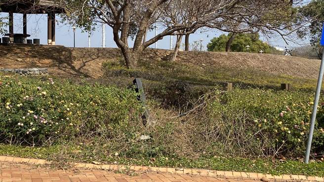 男骑士疑过弯失控，直衝路旁边坡，草丛明显压坏一大片。（王文吉摄）