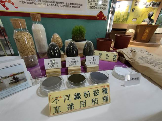 吴以健说，4年前开始着手研究，参考日本做法，利用铁粉披覆稻种后，可搭配无人机、湿田直播机等方式直接播种。(吴建辉摄)