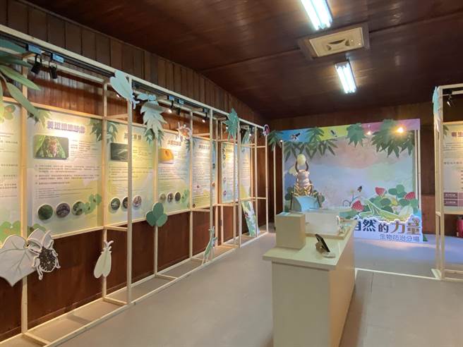 苗栗區農業改良場生物防治分場，活化園區內苗栗縣歷史建築「原大湖蠶業改良場建築群」，將老舊倉庫布置成最新研究成果展示室，開放機關團體預約參觀。（巫靜婷攝）