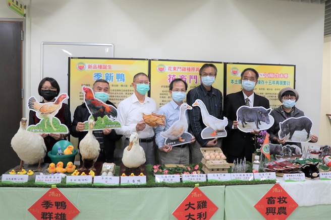 行政院农业委员会畜产试验所26日举办记者会，展示畜试所去年研究成果。（刘秀芬摄）