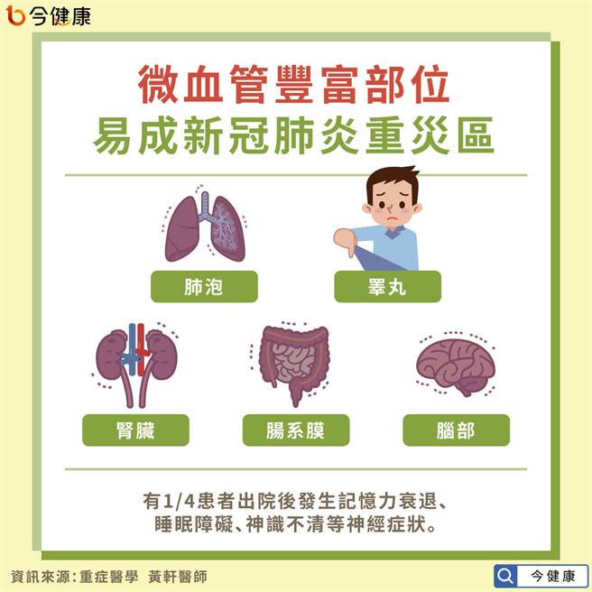 肺泡腎臟腦部　微血管豐富部位成重災區。(圖/今健康提供)