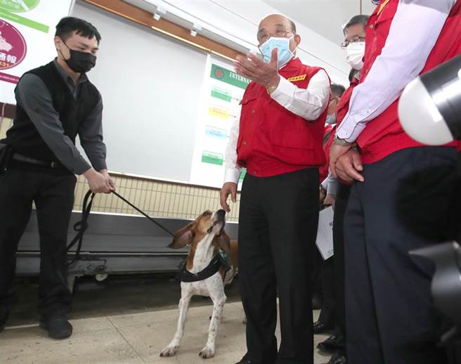 行政院长苏贞昌（中）27日视察臺北邮件处理中心春节国际包裹检疫流程，在视察中观看检疫犬对国际包裹进行查验后，不忘强调对非洲猪瘟防疫的重要性的同时，检疫犬也顺便闻闻苏贞昌。（郑任南摄）