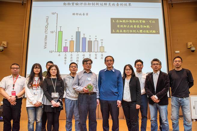 中研院的团队找出5种具有抑制新冠病毒活性效果的潜力药物。（中研院提供／林志成台北传真）