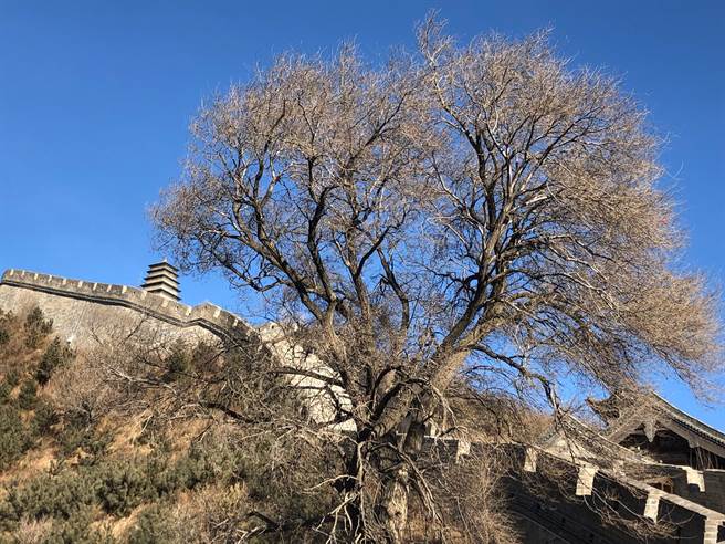 雁门人家。（作者提供）