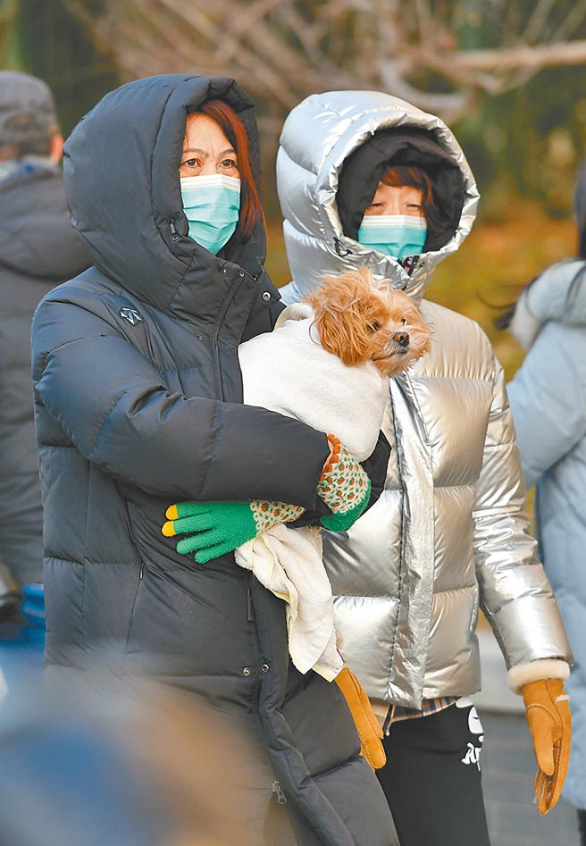 防疫隔离措施下，造成家中宠物无人照顾，大陆各地政府提出对策。（新华社）