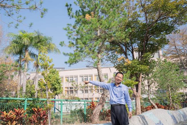 台市议员陈清龙牵线，市民詹玟书、蔡宗麟、陈秀丹、黄志伦捐赠14棵五叶松，（王文吉摄）