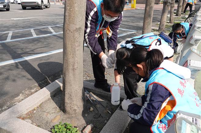  鹿港镇公所招募学生投入担任环保志工。(吴敏菁摄)