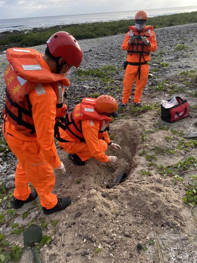 海巡东部分署第十巡防区27日下午3时29分，接获民眾通报在绿岛龟湾岸际前方发现死亡鲸豚，经初步判定为弗氏海豚，海巡人员将採样检体送回本岛研究，并将其就地掩埋。（台东海巡提供／蔡旻妤台东传真）