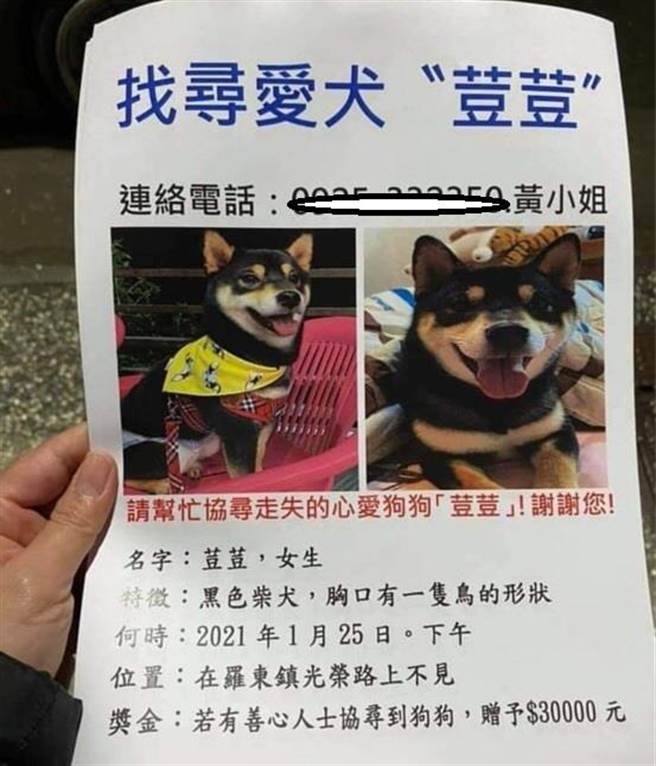 一张寻找爱犬启事，竟引来噁心男子想趁火打劫。（读者提供／胡健森宜兰传真）