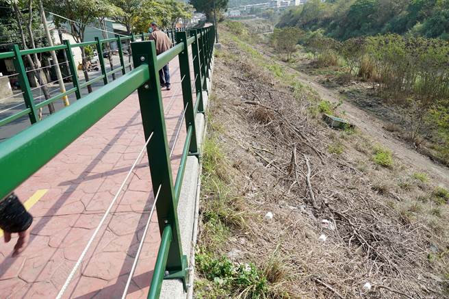 健民里段草湖溪自行车道，去年底开放，一些民眾将垃圾丢弃在边坡，由于自行车道建于河堤之上，边坡有一定的斜度，捡拾垃圾有一定的难度。（黄国峰摄）