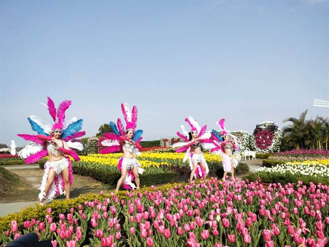 热情女舞者在中社观光花市大跳森巴舞，将郁金香花海点缀的美不胜收。（陈淑娥摄）