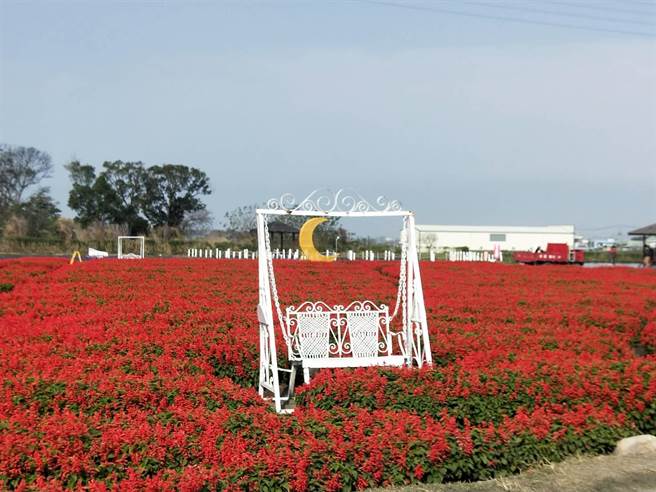 民眾春节可以到中社观光花市走春，尽情畅游在8公顷的园区。（陈淑娥摄）